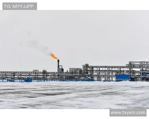 亚马尔地区的能源战略与全球气候变化的互动分析