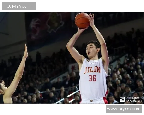 代怀博的成长之路与未来发展展望：从初创到行业领军者的蜕变历程