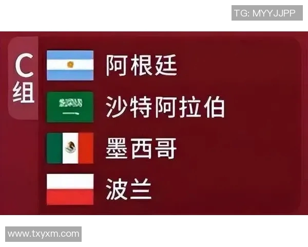 俄罗斯与沙特比赛数据分析及结果总结探讨