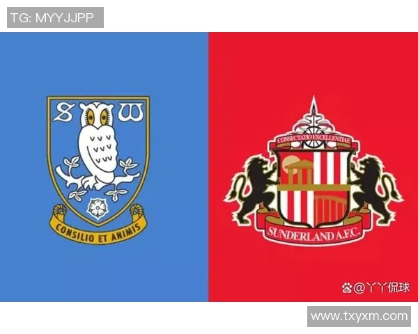 桑德兰与谢周三激战正酣双方争夺关键积分精彩回顾