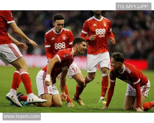 西布朗与埃弗顿精彩对决全场录像回放分析与精彩瞬间集锦