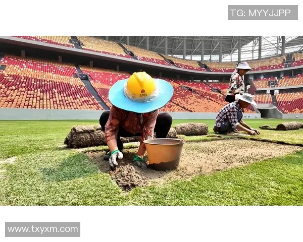 重庆足球队在世界杯中的比赛经验与表现深度解析